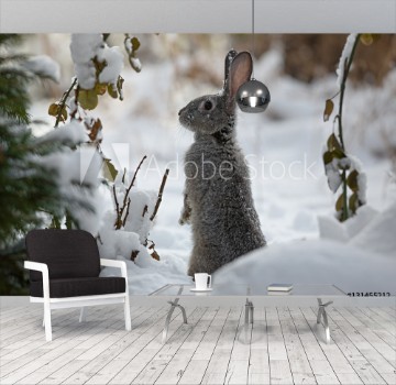Picture of snow rabbit hare winter